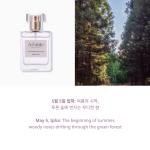 505 Summer Jeju Forest