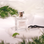 505 Summer Jeju Forest