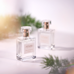 505 Summer Jeju Forest